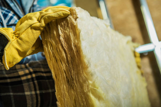 Best Types of Insulation in Janesville, WI