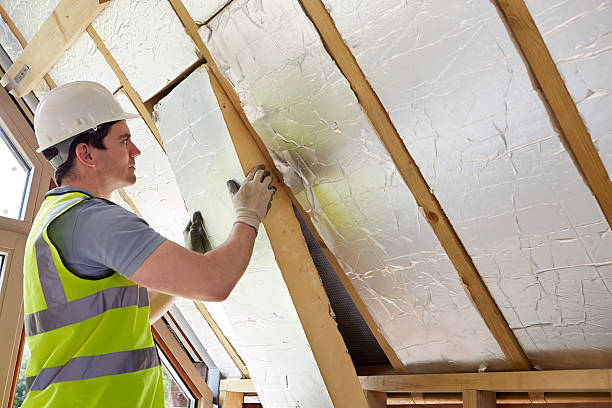 Best Insulation Maintenance and Repair in Janesville, WI