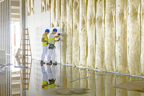 Professional Insulation Contractor in WI